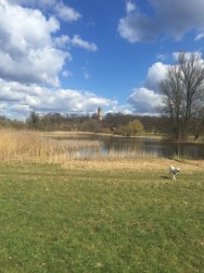 Ella at the Lake in Castle Babelsberg 